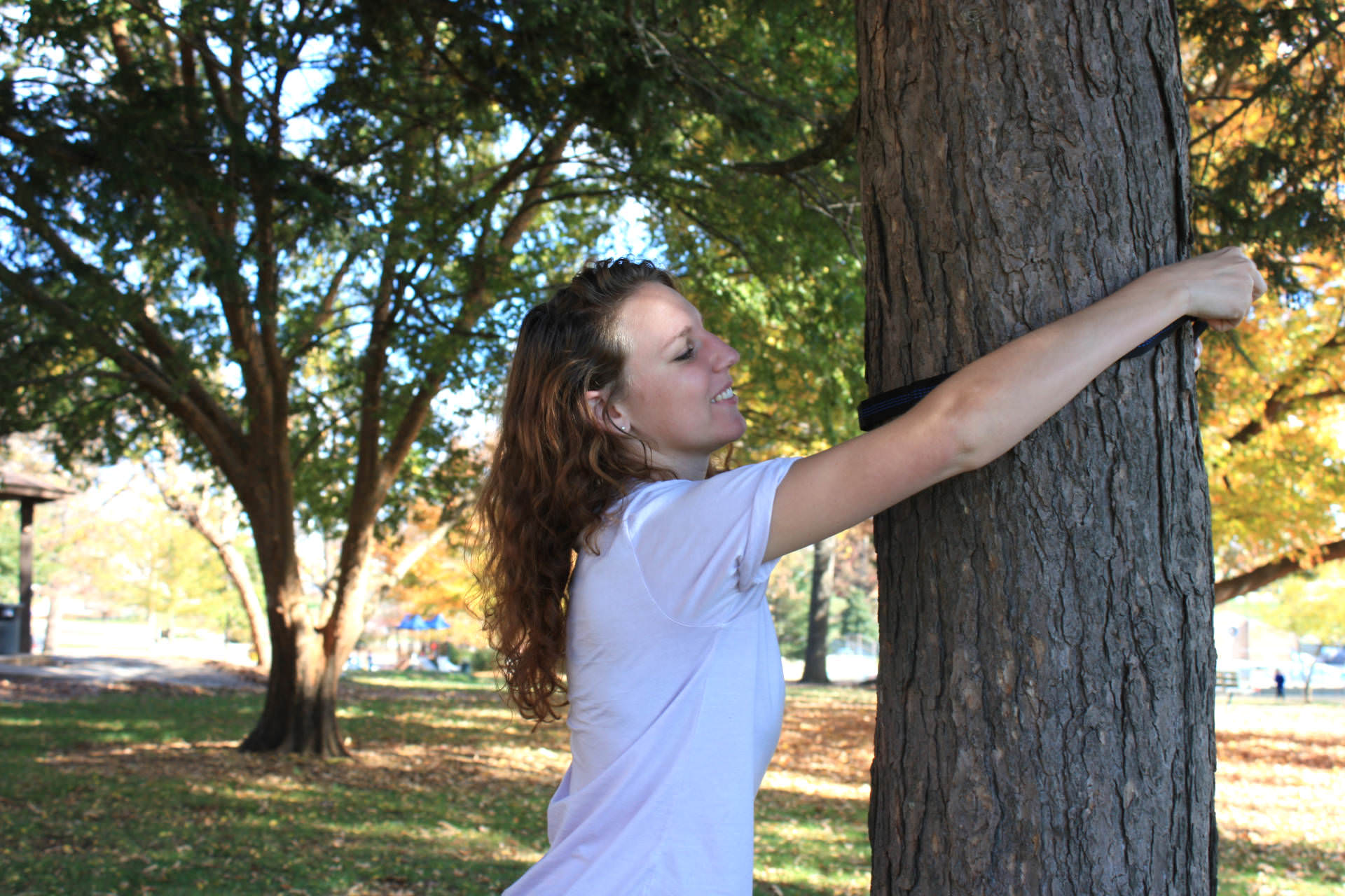 The Tree Hugging Hippies Were Right After All Part III Lynchburg
