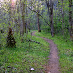 Lynchburg Parks and Recreation, trail
