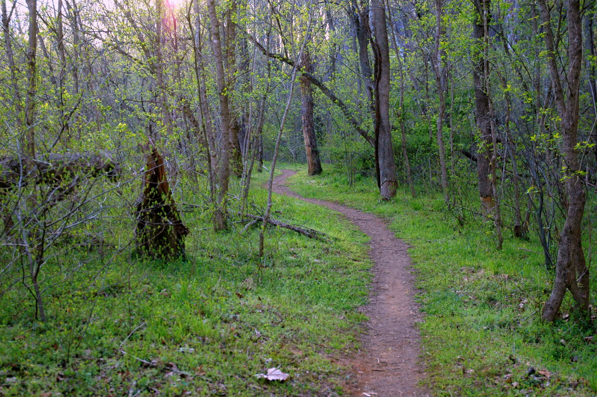 Beaver Trail, Lynchburg trails