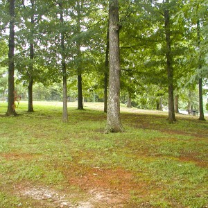 Lynchburg Parks and Recreation, younger park