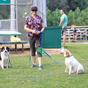 Lynchburg Parks and Recreation, Peaks View Park