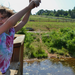 Ivy Creek Park, fishing , Lynchburg Parks and Recreation