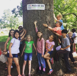 Please do hug the trees, Lynchburg