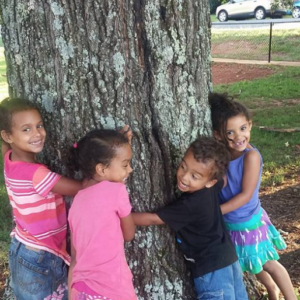 Please Do Hug the Trees Lynchburg